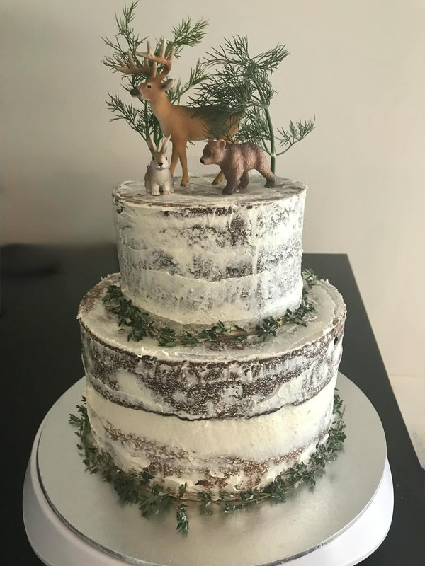 Two Tier Winter Themed Cake Sydney